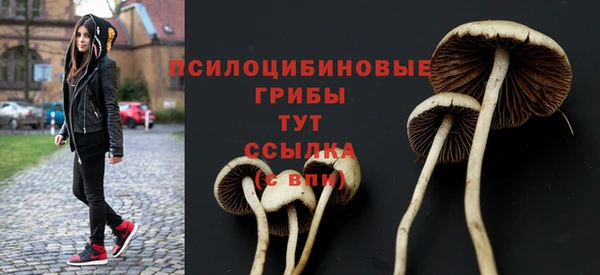 дурь Горно-Алтайск