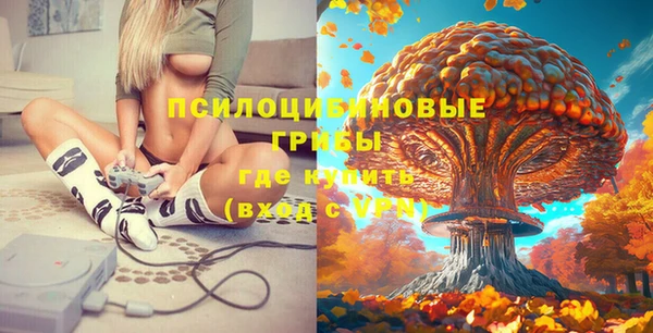 дурь Горно-Алтайск